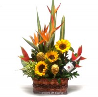 /album/fotogaleria-arreglos-florales/arreglo-para-hombre-con-ave-jpg/